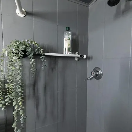 Apartment Neve